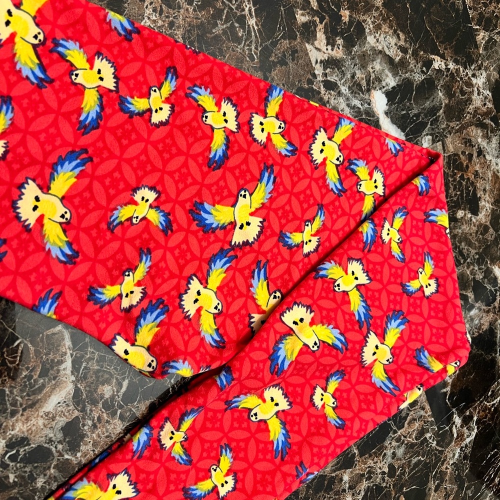 LulaRoe super soft leggings
